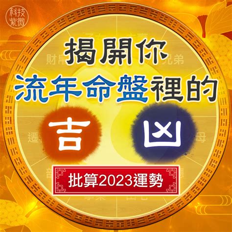 一生財富運勢分析|免費紫微運勢曲線算命